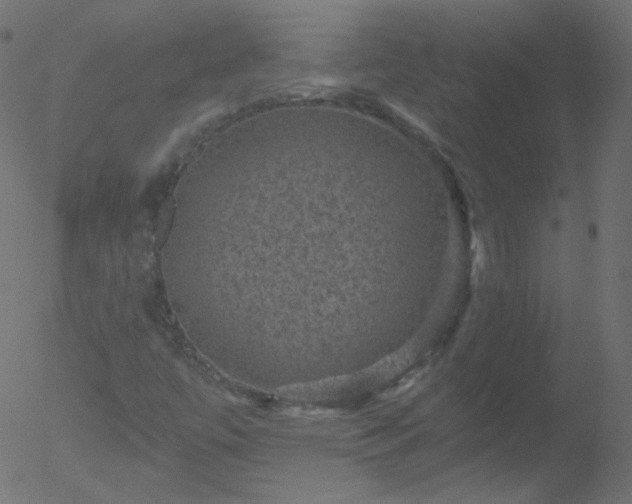 X0000052571447200507011209