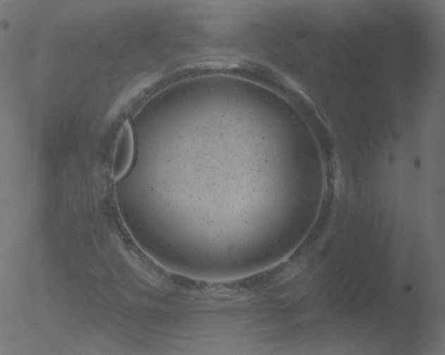 X0000052571448200507011209