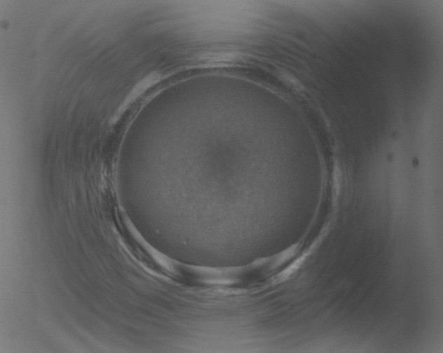 X0000052571449200507011209