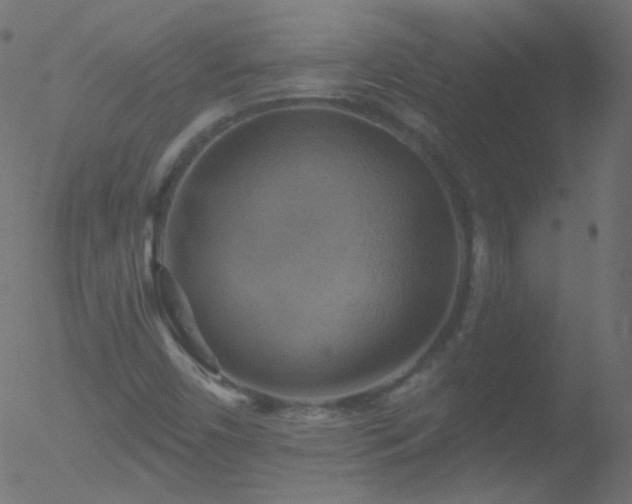 X0000052571450200507011209