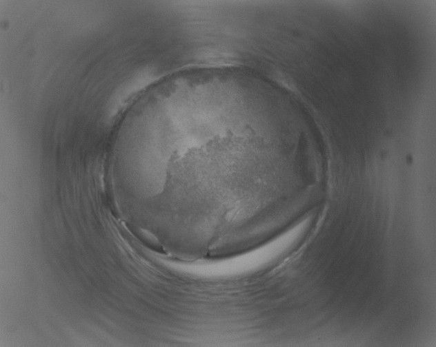 X0000052571451200507011209