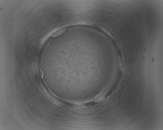 X0000052571452200507011209