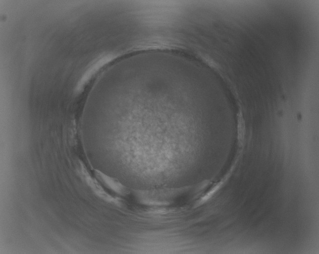 X0000052571453200507011208