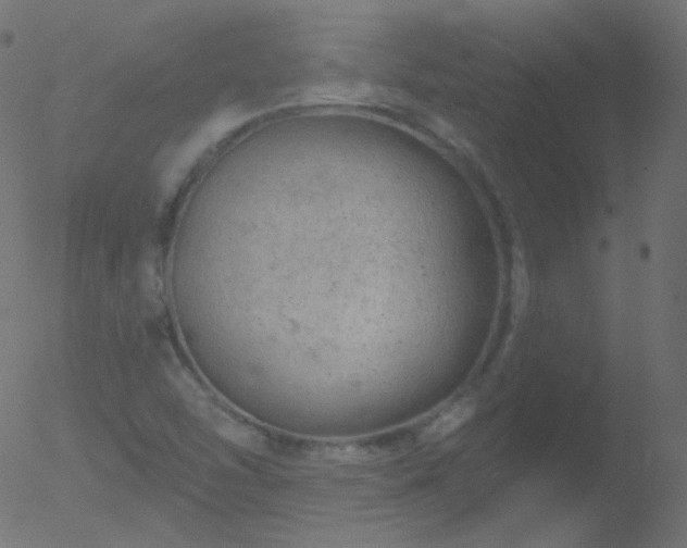 X0000052571454200507011208