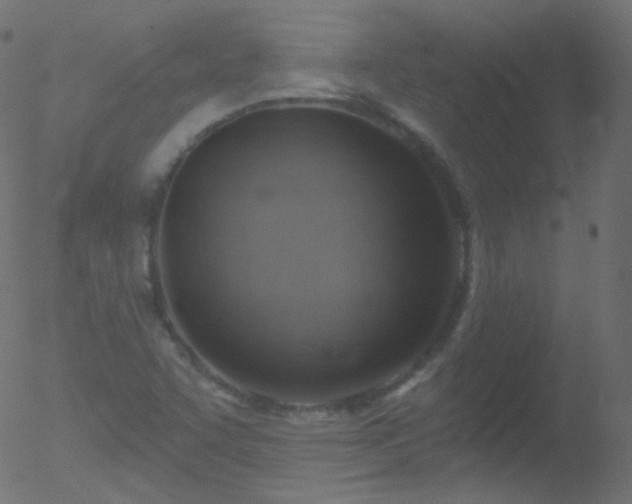 X0000052571455200507011208