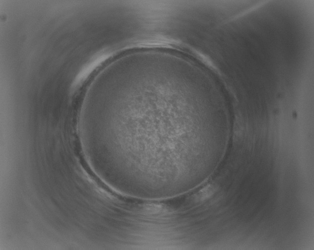 X0000052571456200507011208