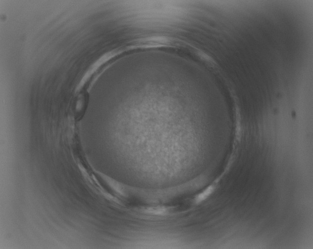 X0000052571457200507011208