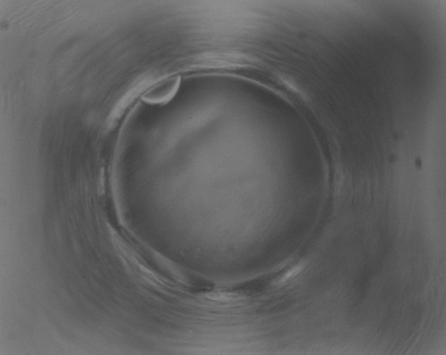 X0000052571459200507011208