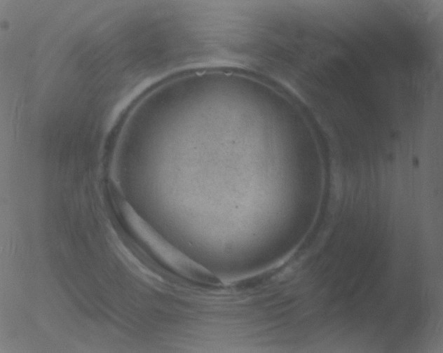 X0000052571460200507011208