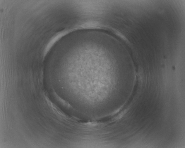 X0000052571461200507011208