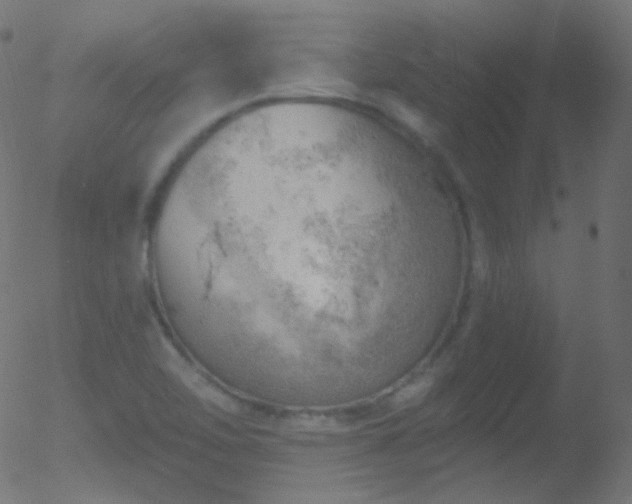 X0000052571462200507011208