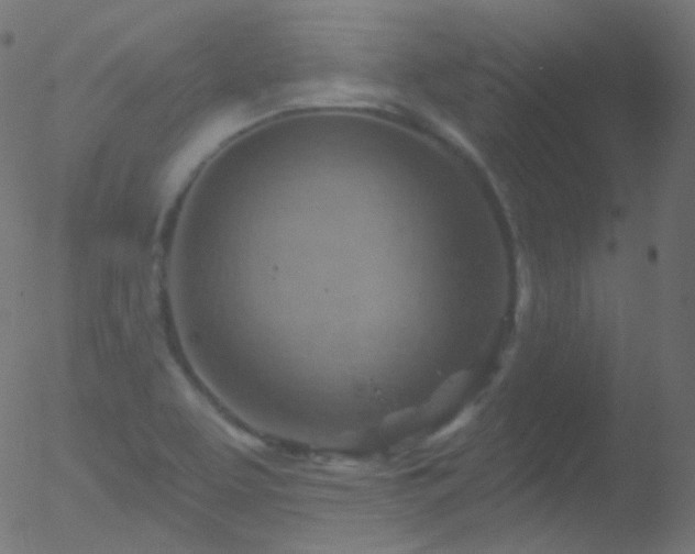 X0000052571463200507011208