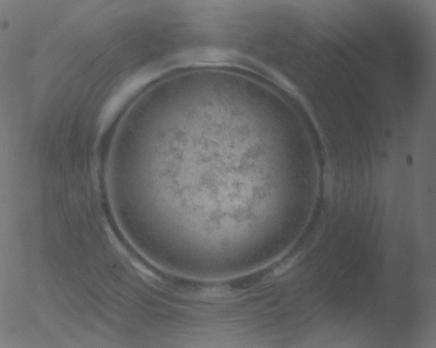 X0000052571464200507011208