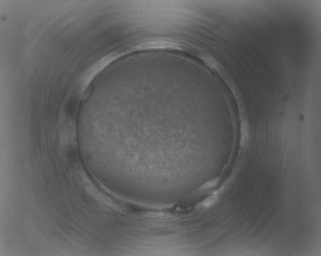 X0000052571465200507011208