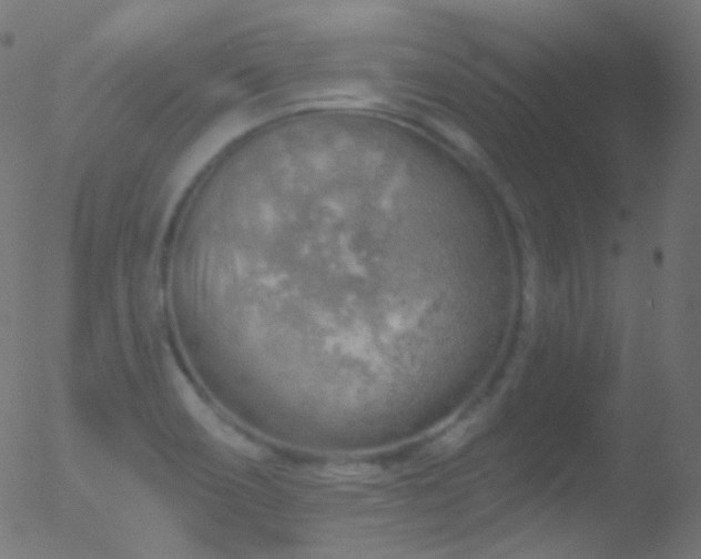 X0000052571466200507011208