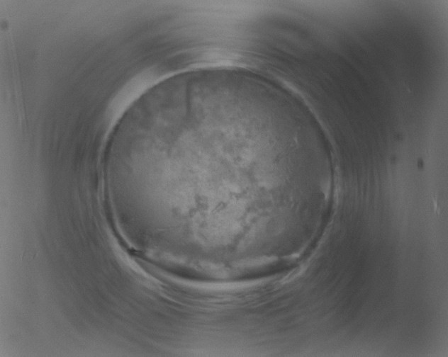 X0000052571467200507011208