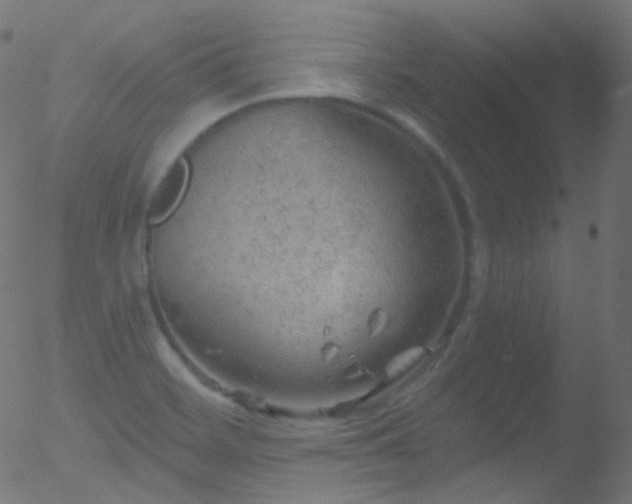 X0000052571468200507011208