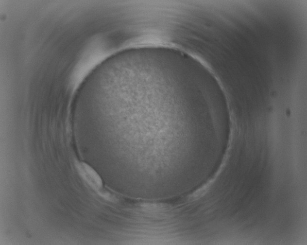 X0000052571469200507011208