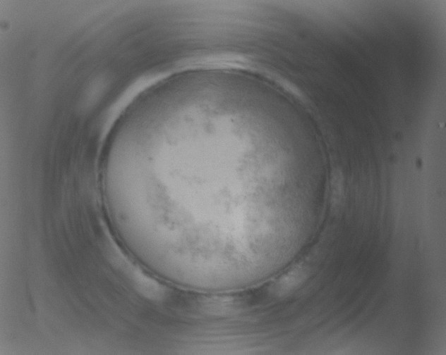 X0000052571470200507011208