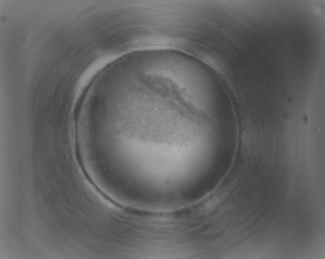 X0000052571472200507011208