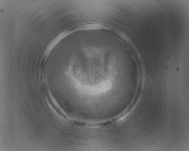 X0000052571473200507011208