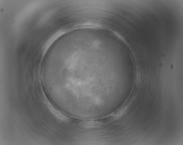 X0000052571474200507011208