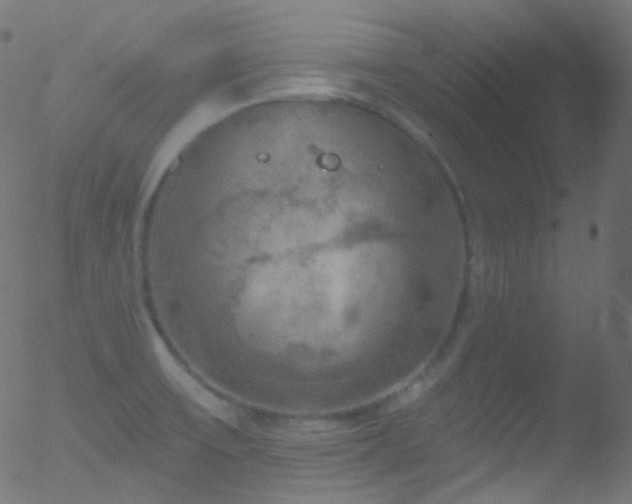 X0000052571475200507011208