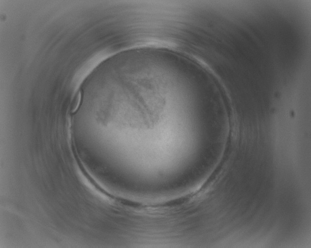 X0000052571476200507011208