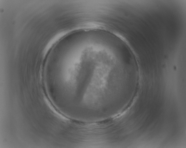 X0000052571477200507011208