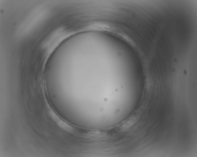 X0000052571478200507011208