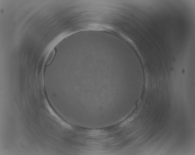 X0000052571479200507011208