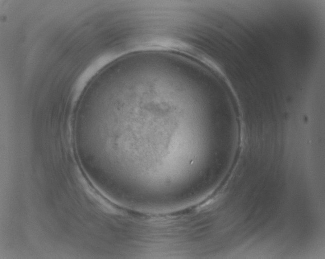 X0000052571480200507011208