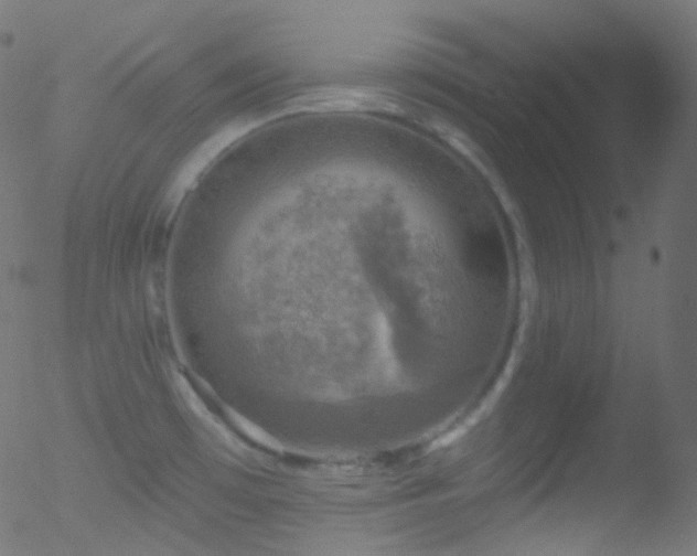 X0000052571481200507011208