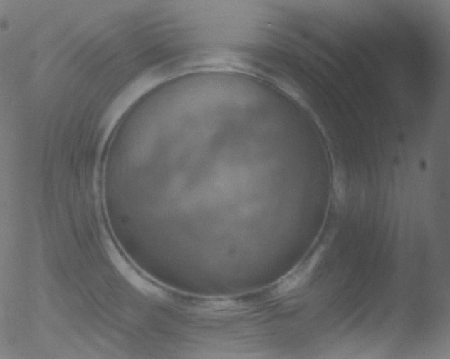 X0000052571482200507011208