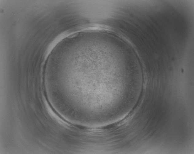 X0000052571483200507011208