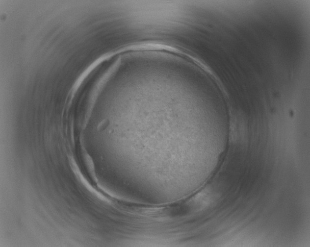 X0000052571484200507011208