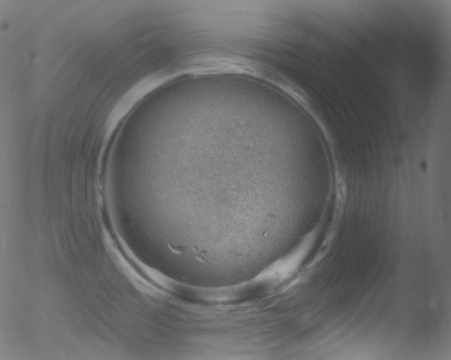 X0000052571485200507011208