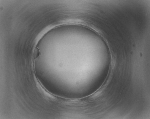 X0000052571486200507011208