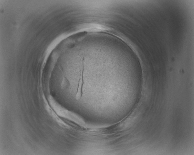 X0000052571488200507011208