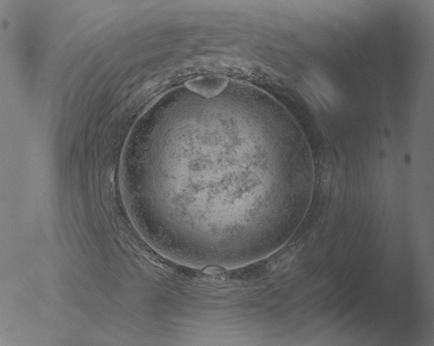 X0000052571489200507011207