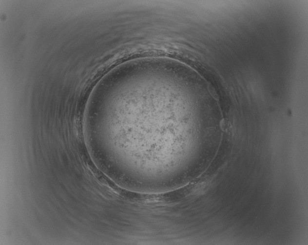 X0000052571490200507011207