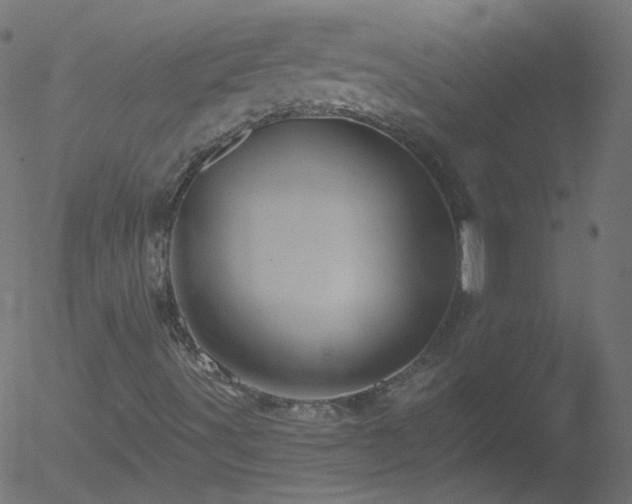 X0000052571491200507011207