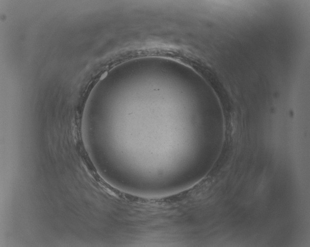 X0000052571493200507011207