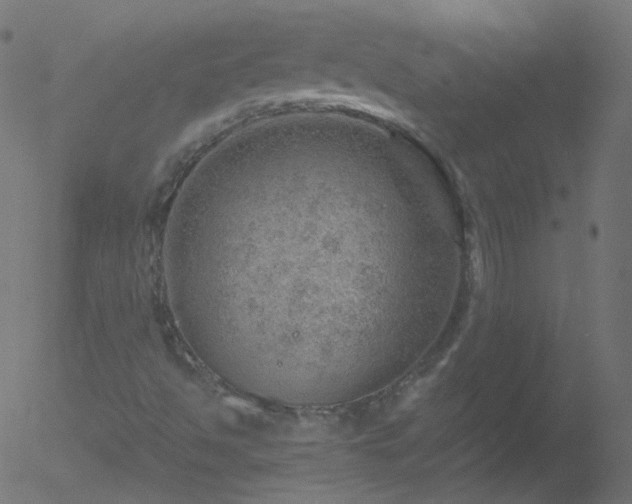 X0000052571494200507011207