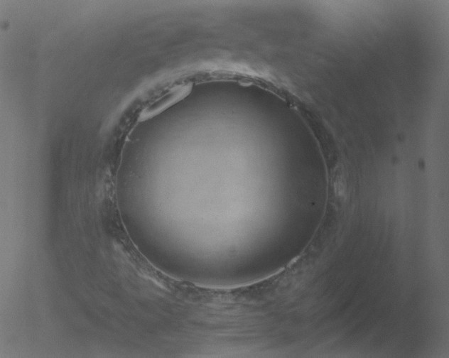 X0000052571495200507011207