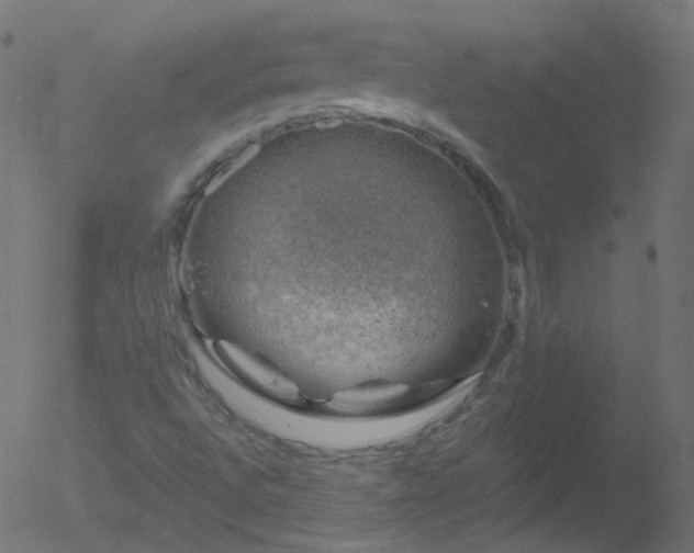 X0000052571496200507011207