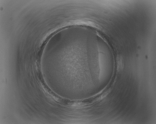 X0000052571497200507011207