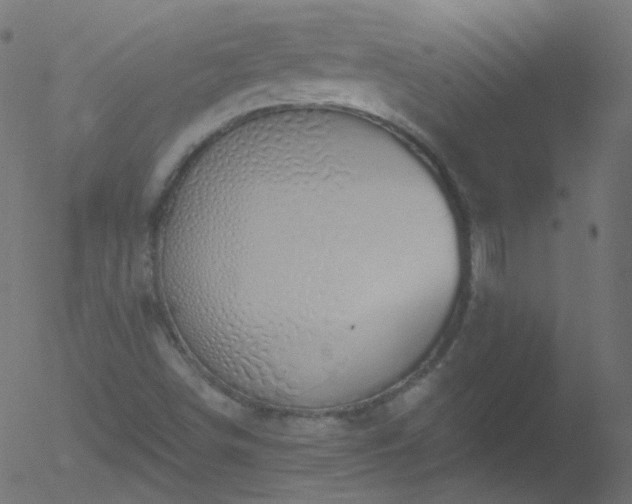 X0000052571498200507011207