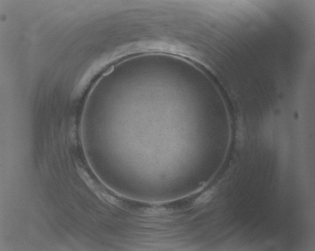 X0000052571499200507011207