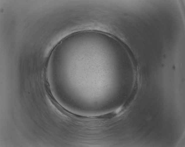 X0000052571500200507011207